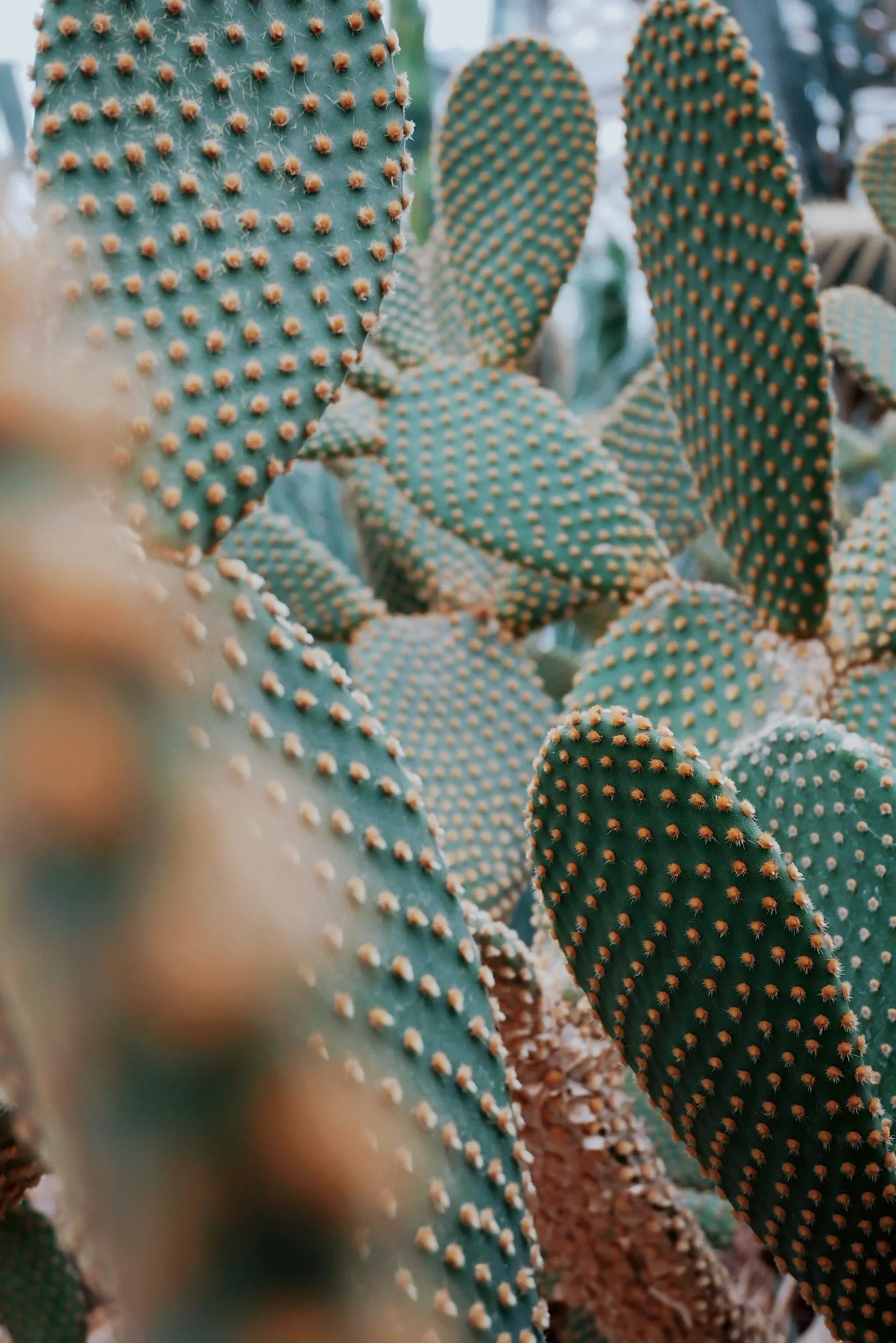 unsplash-image-8RpP_YwERcU.jpg