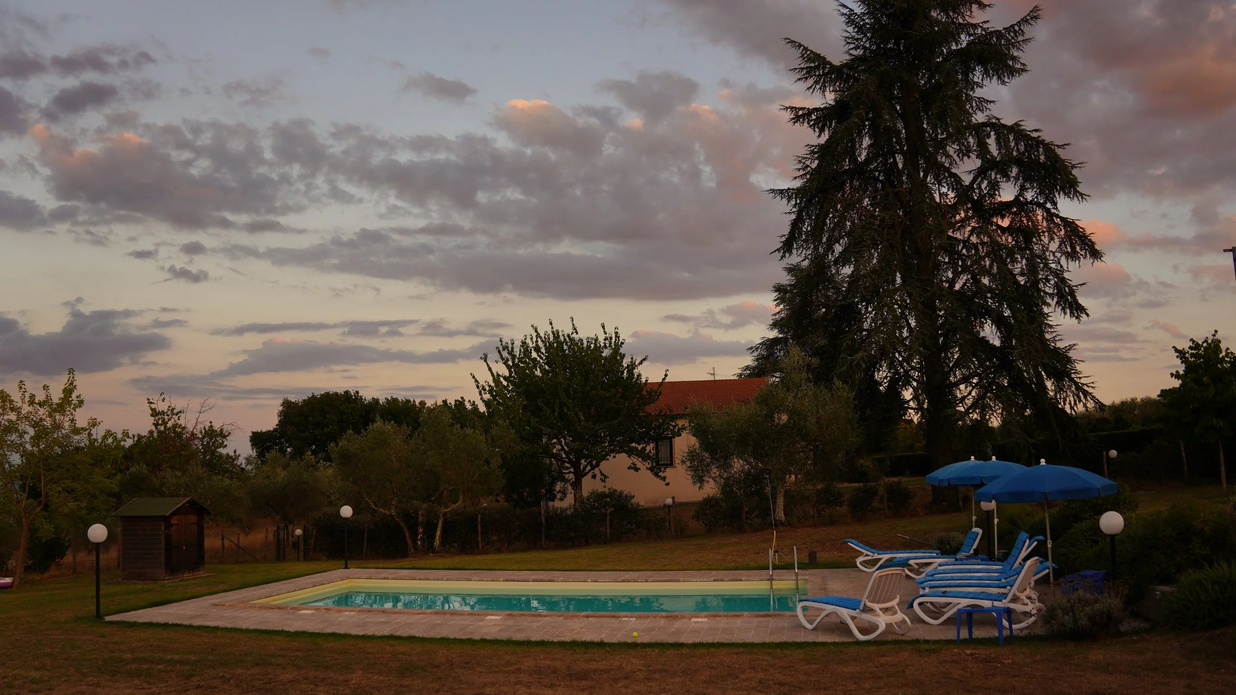 DSC01409-2.jpg