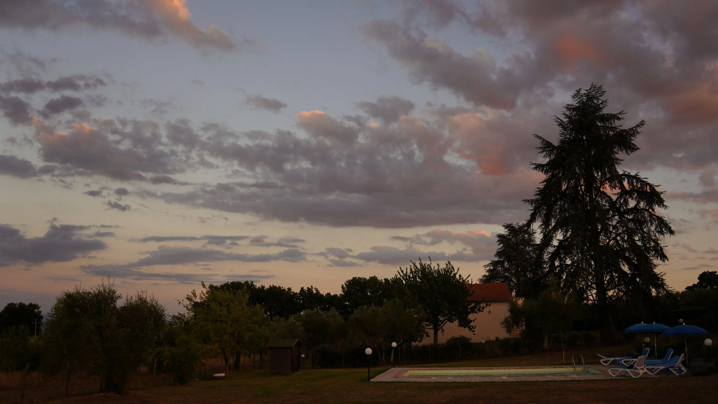 DSC01412-2.jpg