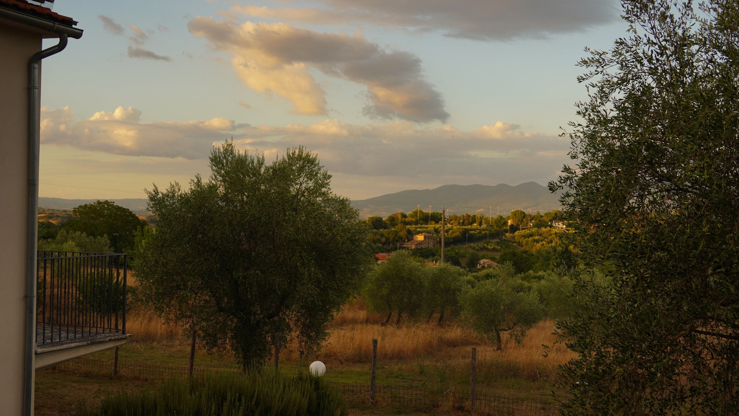 DSC01295.JPG