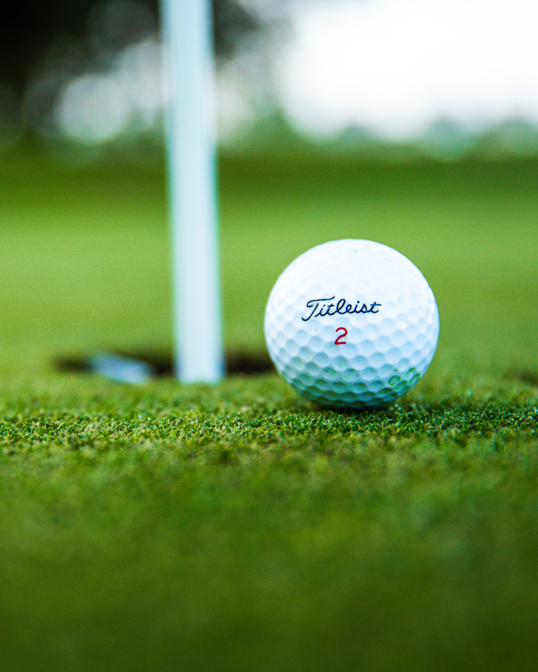 3rd Annual The Beer Can Fore Sunshine House