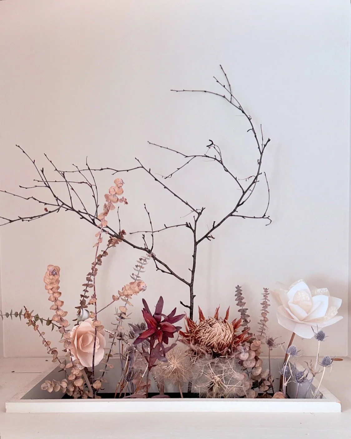 Just re-arranging my dried flower garden while impatiently waiting for the snow to melt and the real garden to wake up.
March has been a busy month of websites! 💻Currently booking Spring projects with May 2025 start dates.
Please contact me with a
