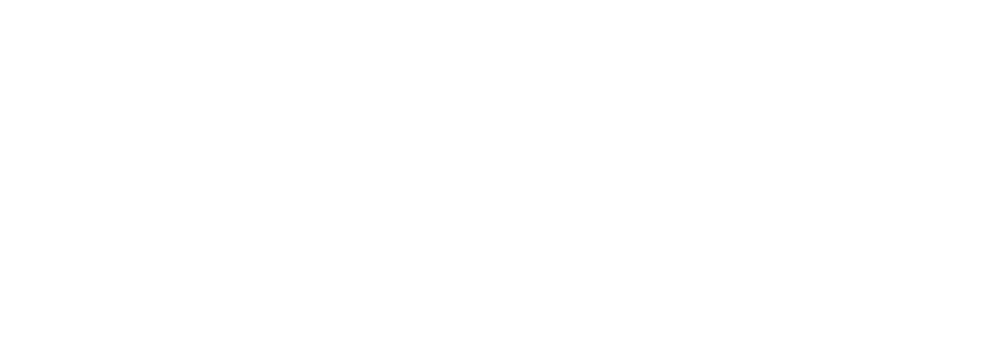 SurgeX 
