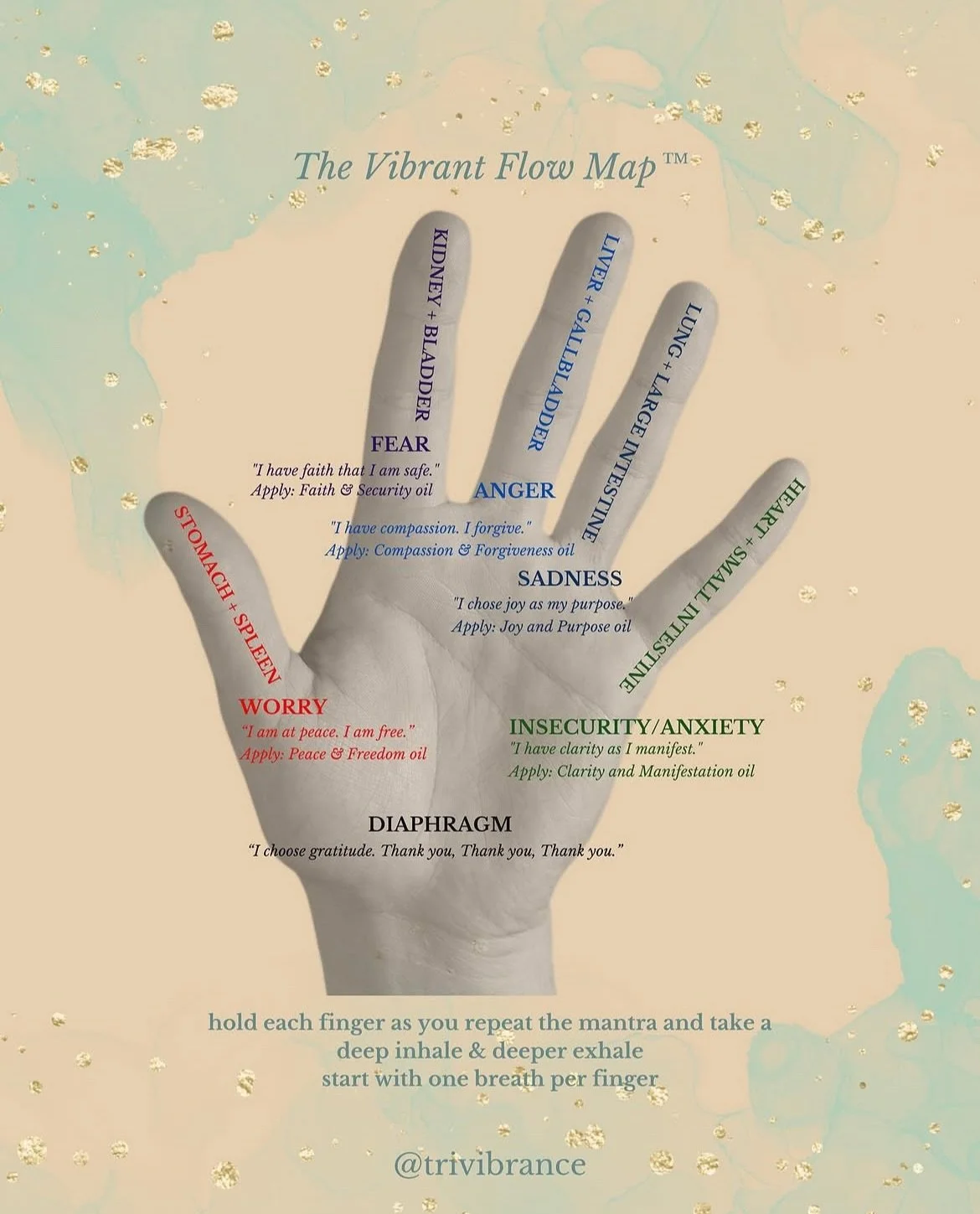 Have you seen the The Vibrant Flow Map before? 

The Vibrant Flow meditation uses our five major oils on acupressure points on the hands to strengthen and balance all major organs. 

We recommend starting with one oil and working up to all five. Each