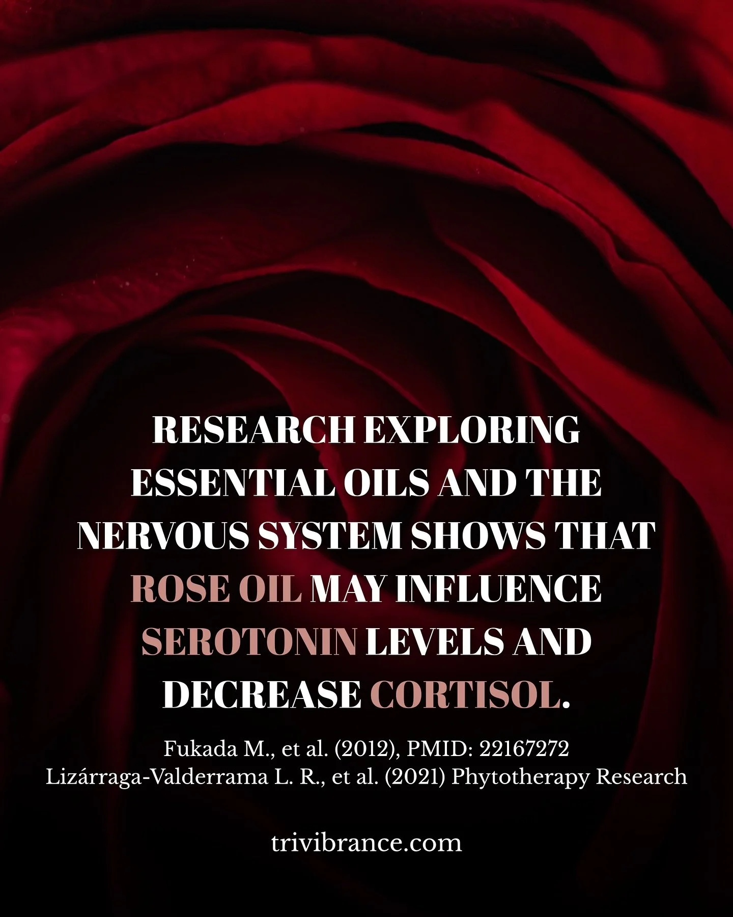 Science shows aromatic oils like rose may shift serotonin &amp; stress pathways, aligning your heart, mind &amp; energy body.

 Rose is one of the primary oils in our popular Vibrant Self blend.
This blend works to support the release of disharmoniou