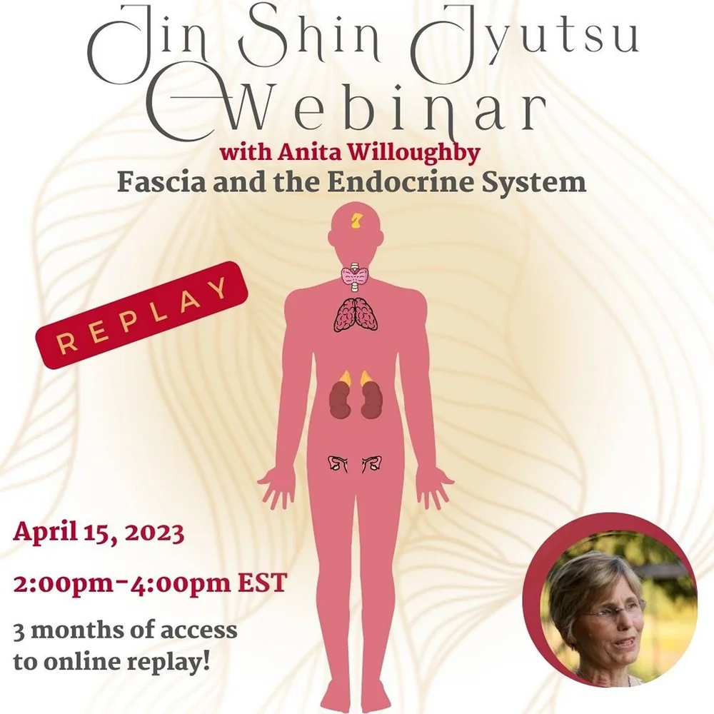 筋膜与内分泌系统网络研讨会— Jin Shin Jyutsu 精神心灵身体