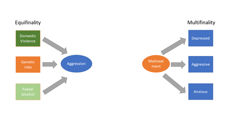 Equifinality & Multifinality - Many into one and one into many — Matt ...