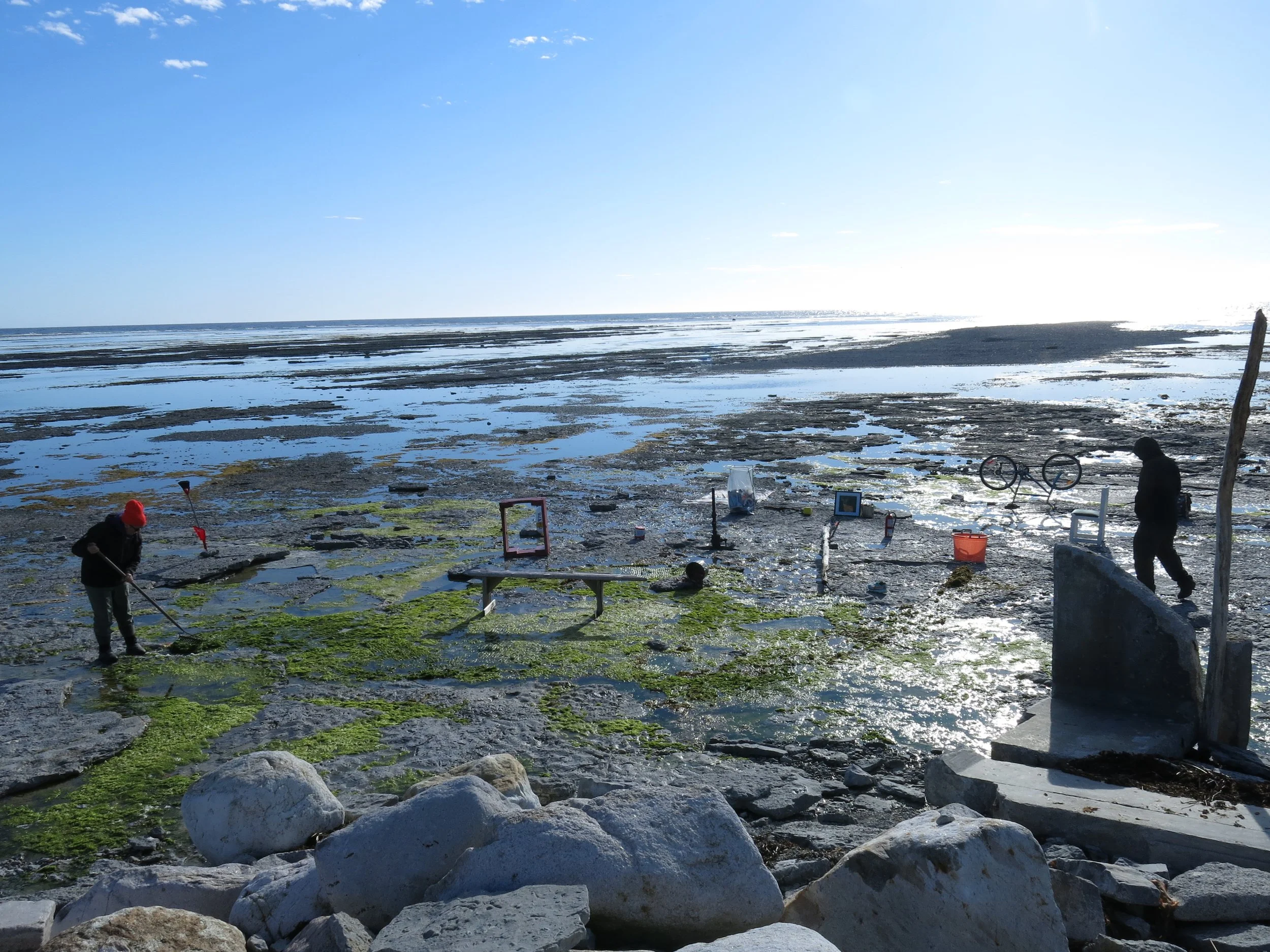 Appel à contributions | Théorie et critique