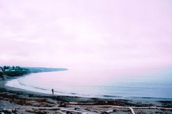 Activité | Théorie et critique