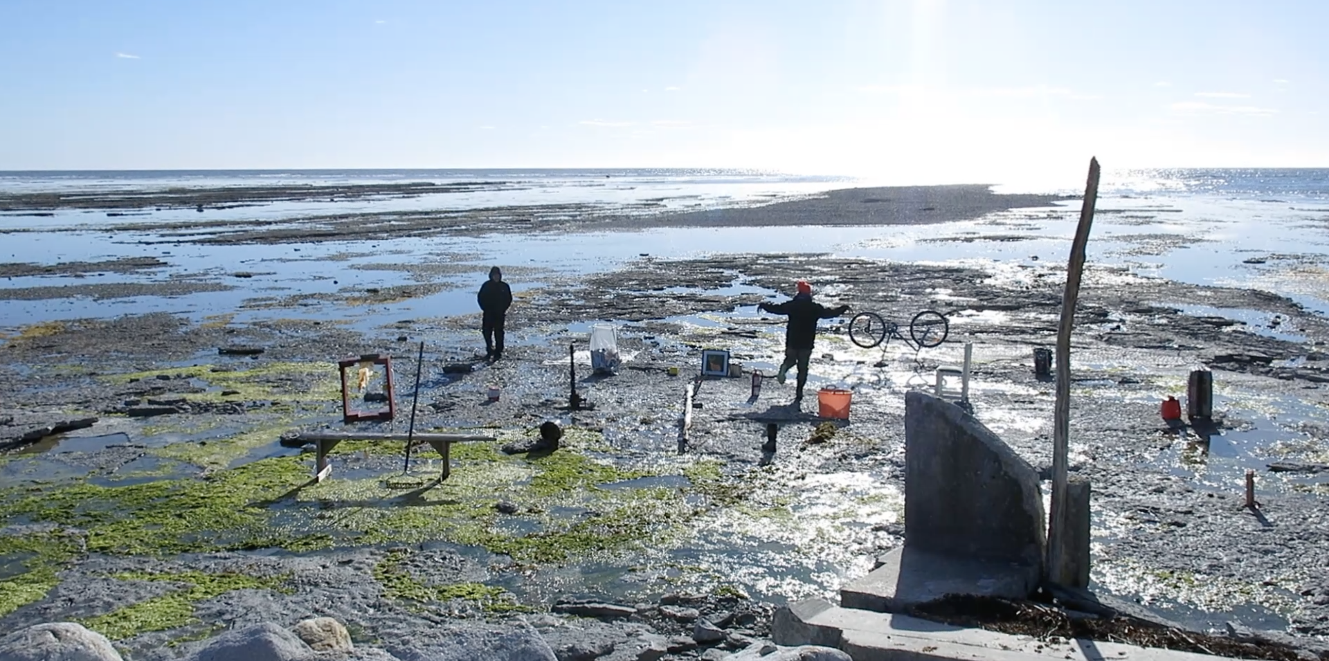 Colloque Arts vivants, écologie, politique : fabriques d’un nouveau relationnel