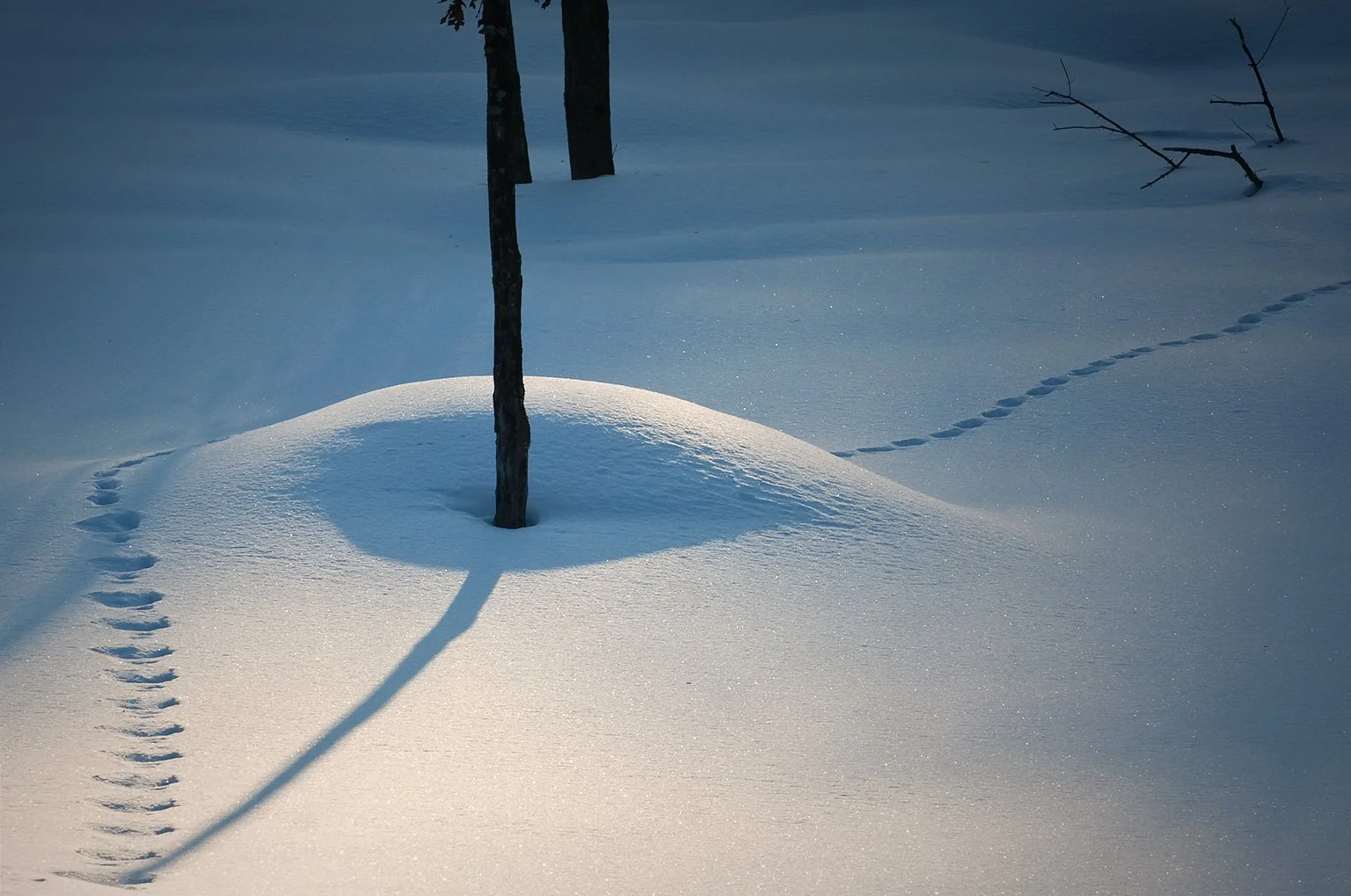 « Traces des arts vivants au Québec et au Canada francophone », Percées #14, sous la responsabilité de Louise Frappier et Nicole Nolette