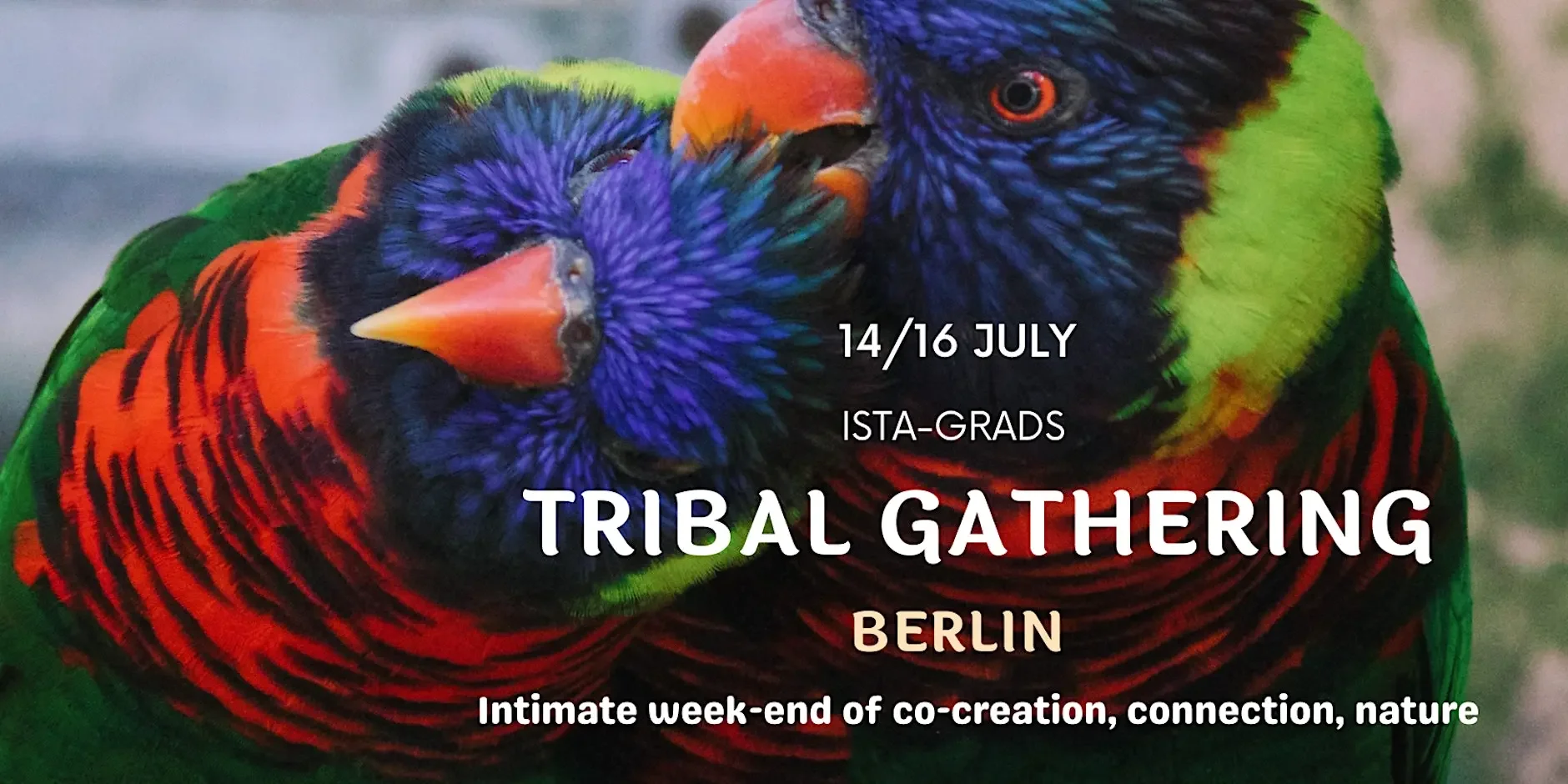 Tribal Gathering