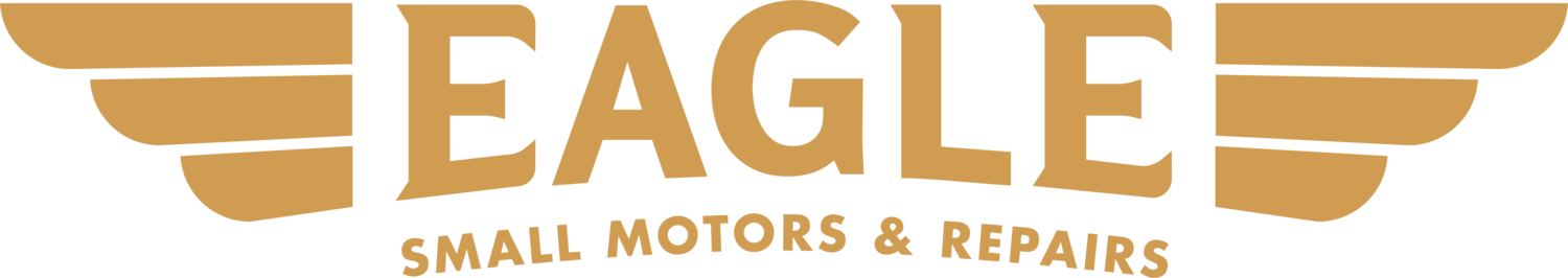 Eagle Small Motors &amp; Repairs
