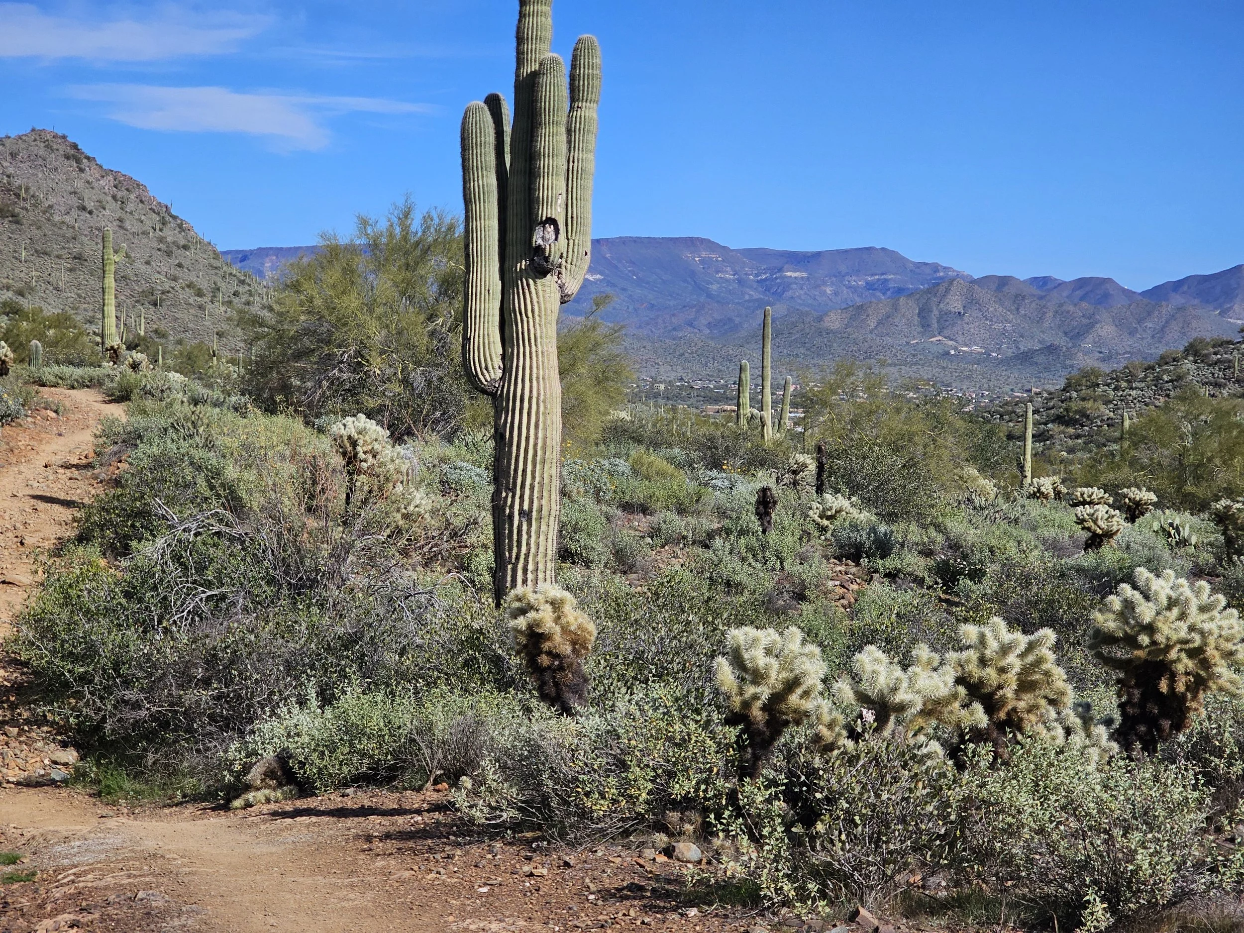 This Little Heart of Mine