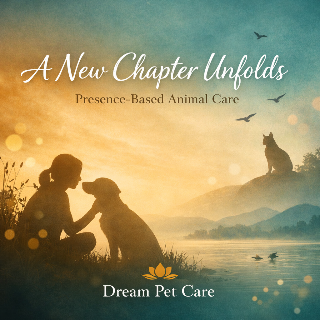 A New Chapter Unfolds at Dream Pet Care
