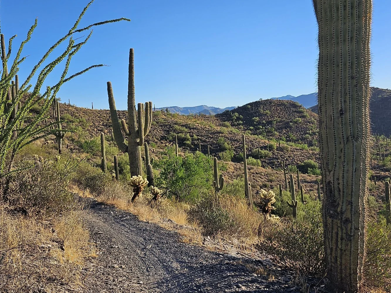 The Moment I Put the Heavy Backpack Down