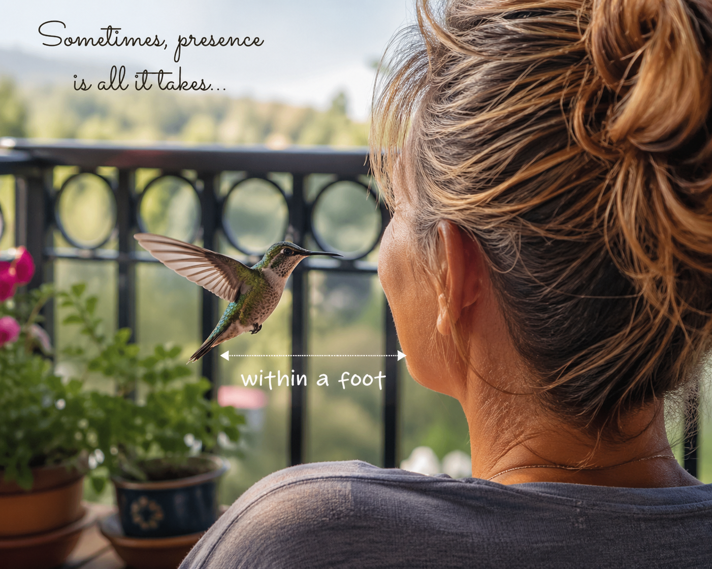 The Hummingbird and the Space In Between