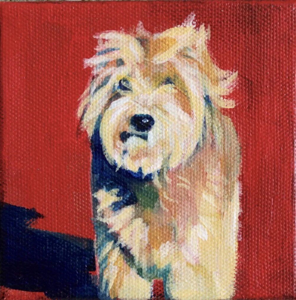 “bear”, acrylic on 4 x 4 canvas, 2023