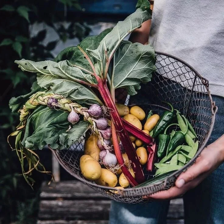 &iquest;Por qu&eacute; elegir un estilo de vida org&aacute;nico? 🌱🌱🌱

.
.

Elegir productos org&aacute;nicos como base de tu alimentaci&oacute;n es una forma de cuidarte y practicar el amor propio, porque te nutres con vegetales y frutas que tiene