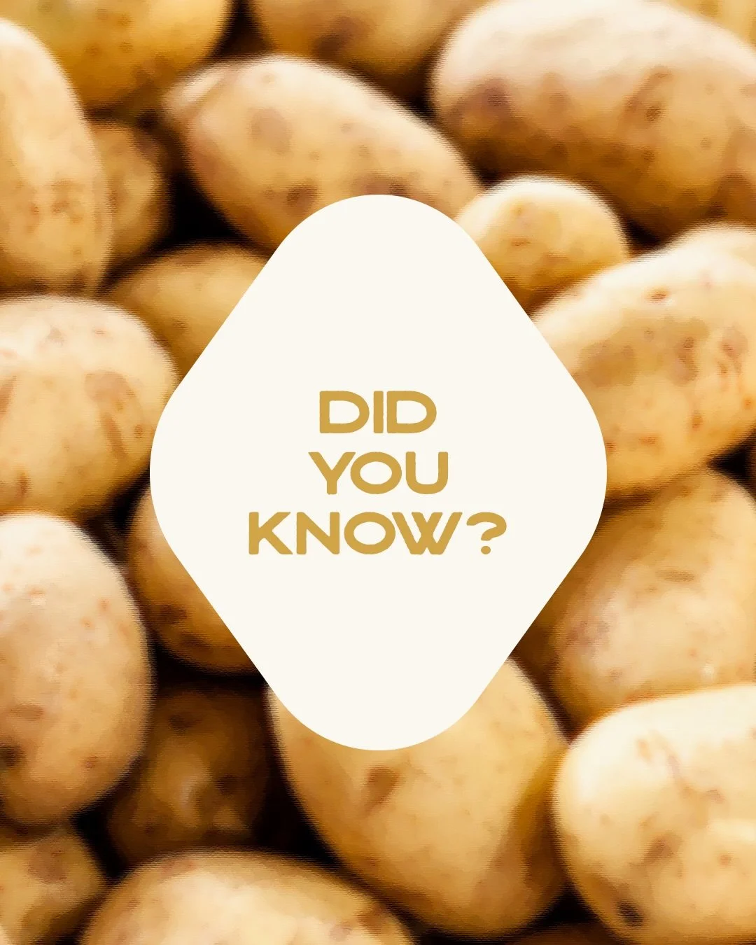 Did you know the humble potato wasn&rsquo;t always Indian?

Introduced by the Portuguese in the 16th century, the aloo slowly found its way into our curries, our street food, and eventually, our everyday comfort food. 

What started as a foreign ingr
