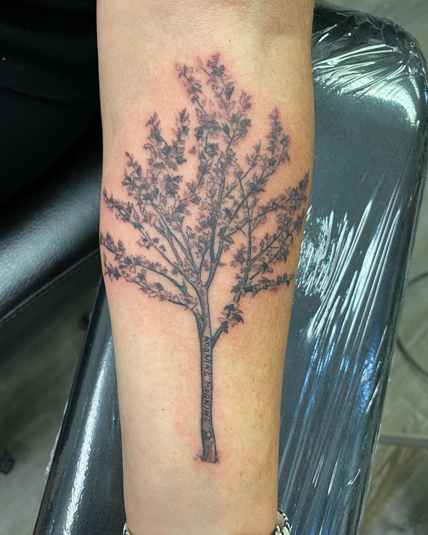 &ldquo;Morning morning&rdquo; An interesting and poetic sounding phrase carved into a tree on a memorial project incorporating some sterilized cremation ashes into the ink. #theedgetattoo #theedgetattooct #southWindsor #manchesterct #tree #trees #ctt