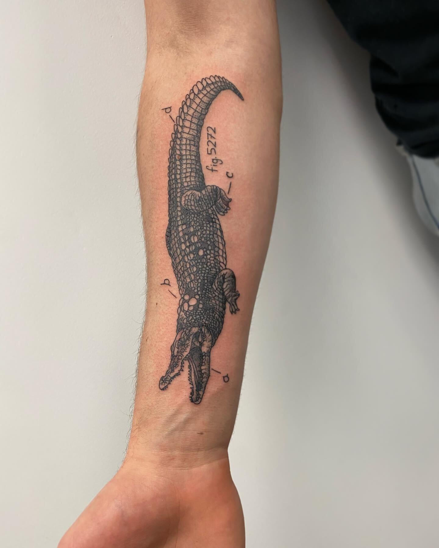 See you in a while crocodile and catch you later alligator are my kids favorite phrases when parting ways. They definitely learned that from my mom. Anyone else out there still use these phrases regularly? #theedgetattoo #theedgetattooct #southWindso