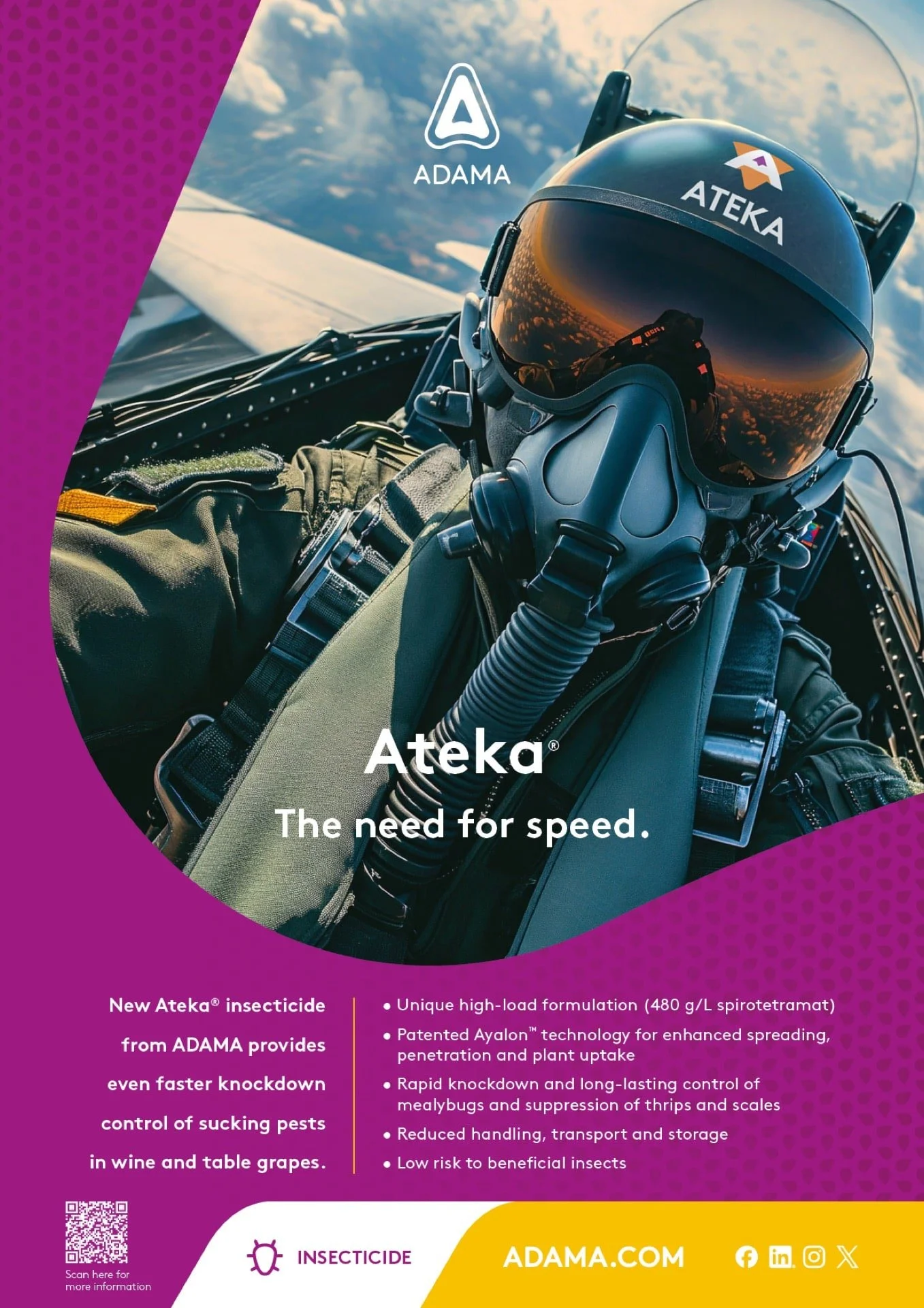 Ateka print ad copy.jpg