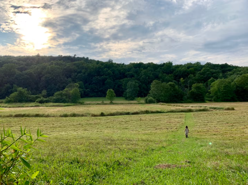 Screenshot 2025-12-01 192754.png