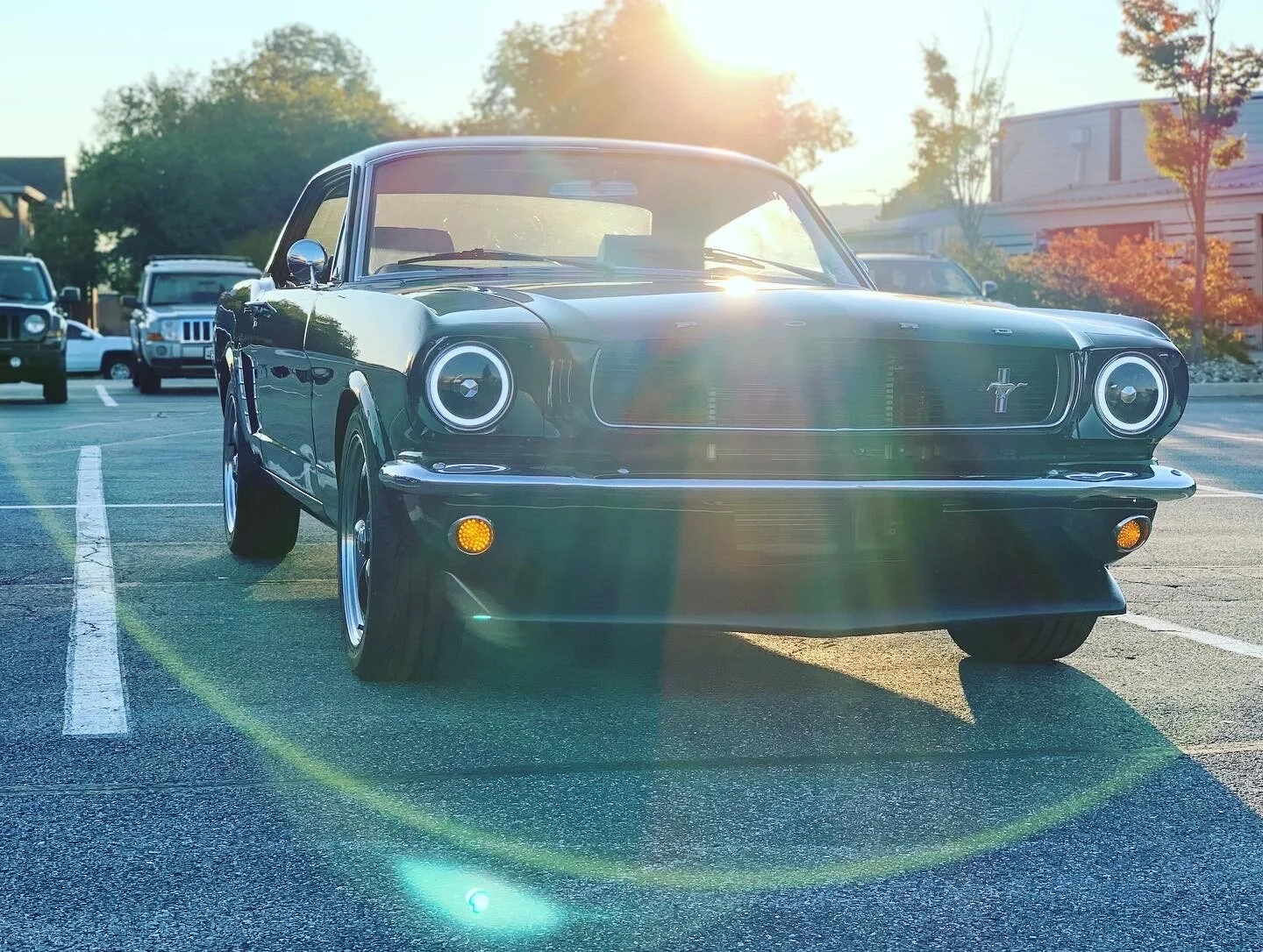 Olive The 1965 Mustang