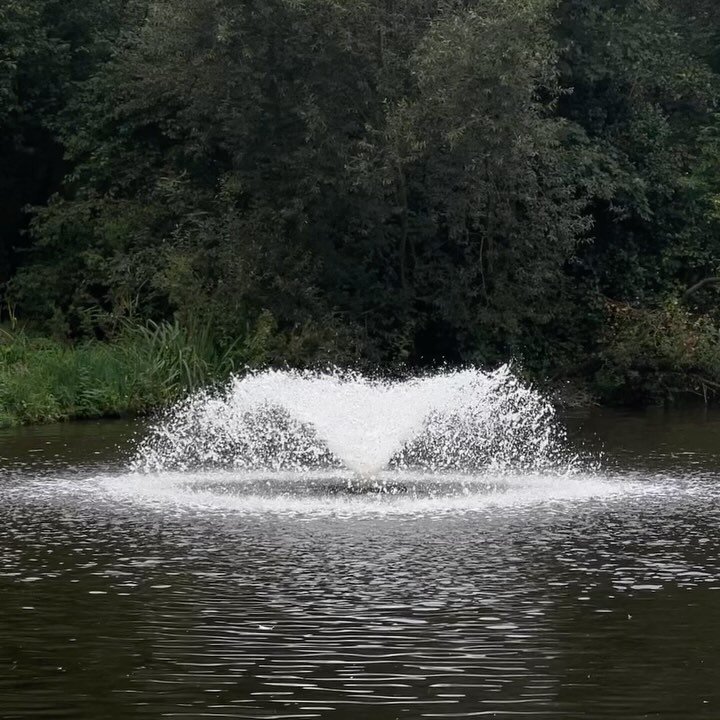 a moment for the parks