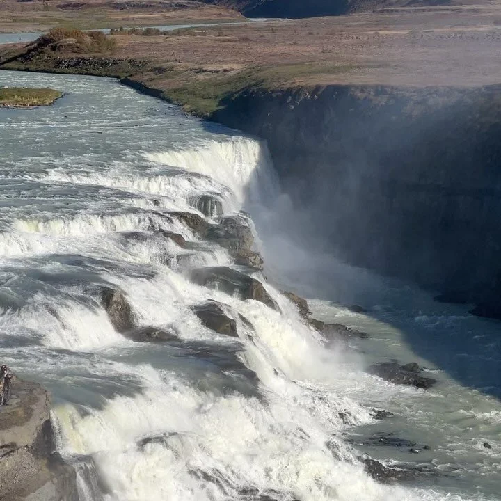 talk about a wedding!! (seriously, I will be talking about this wedding..) congratulations alyssa &amp; will 🫂🫂