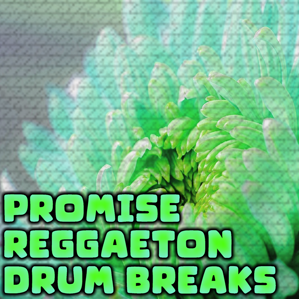 Promise Reggaeton Drum Breaks