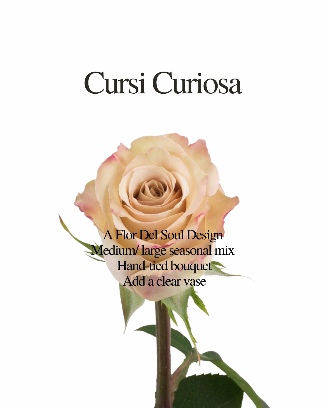 Cursi Curiosa – Flor Del Soul Style