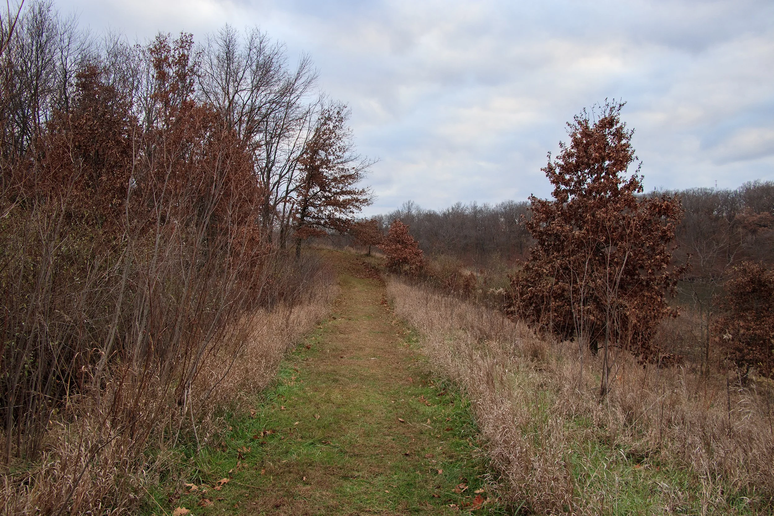_MG_0826.jpg