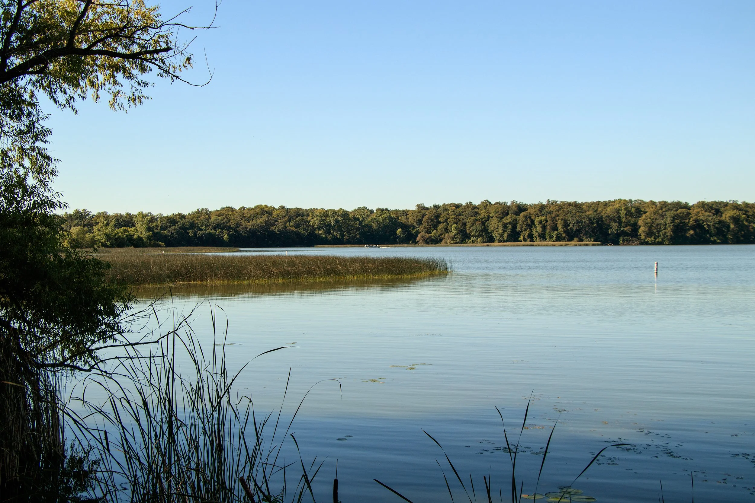 _MG_7503.jpg