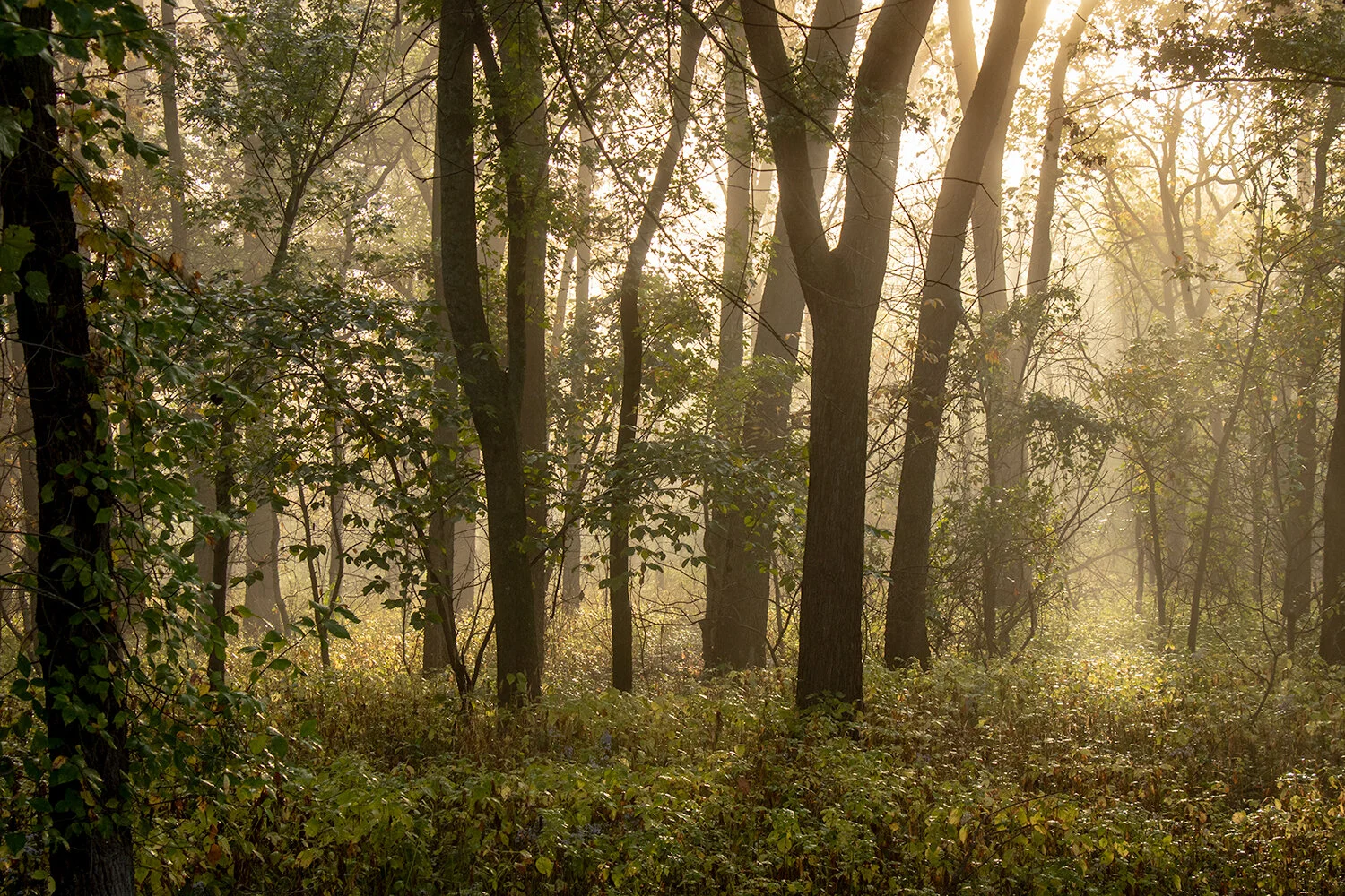 Morning Routine Part 1