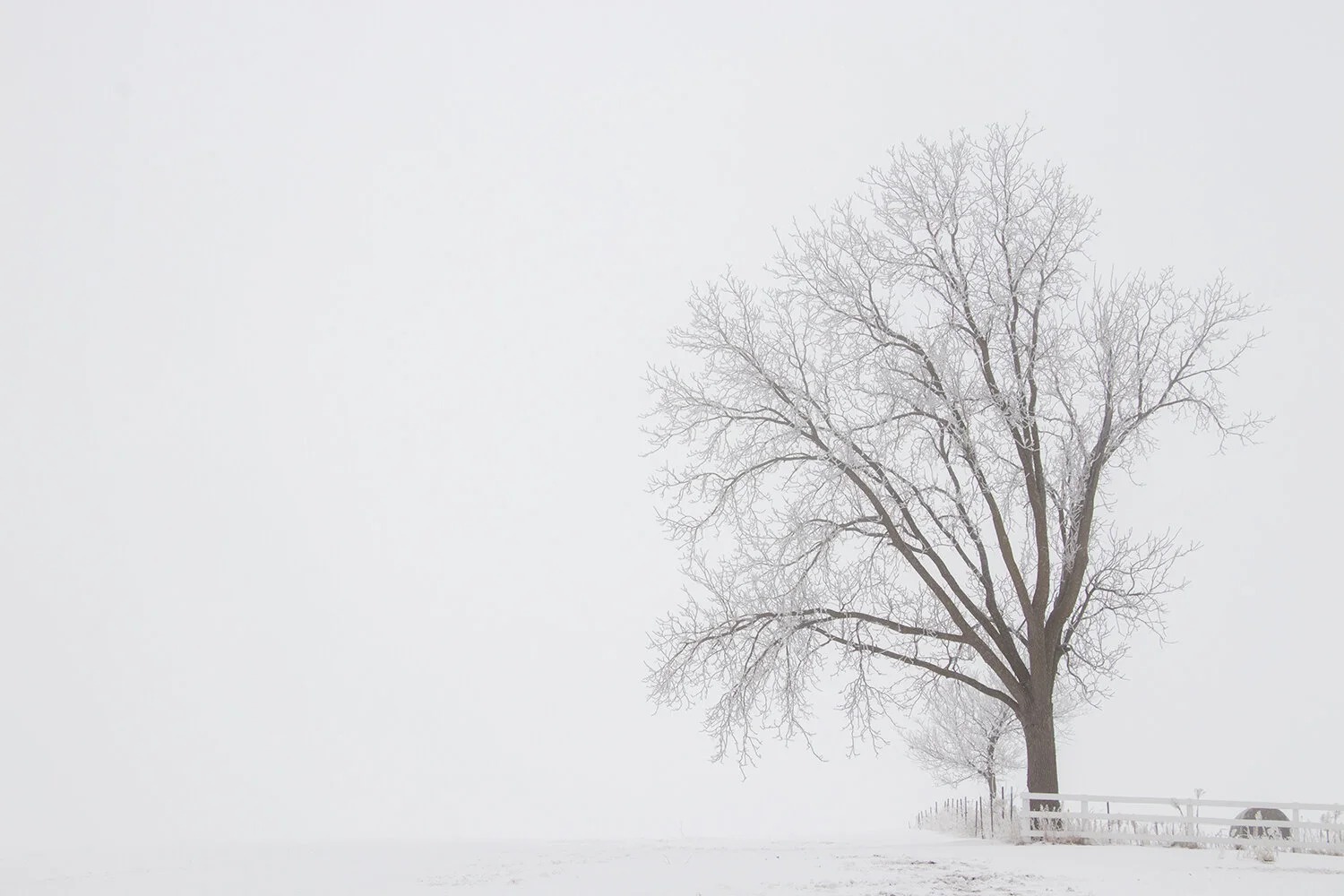 Morning Routine…Part 3.