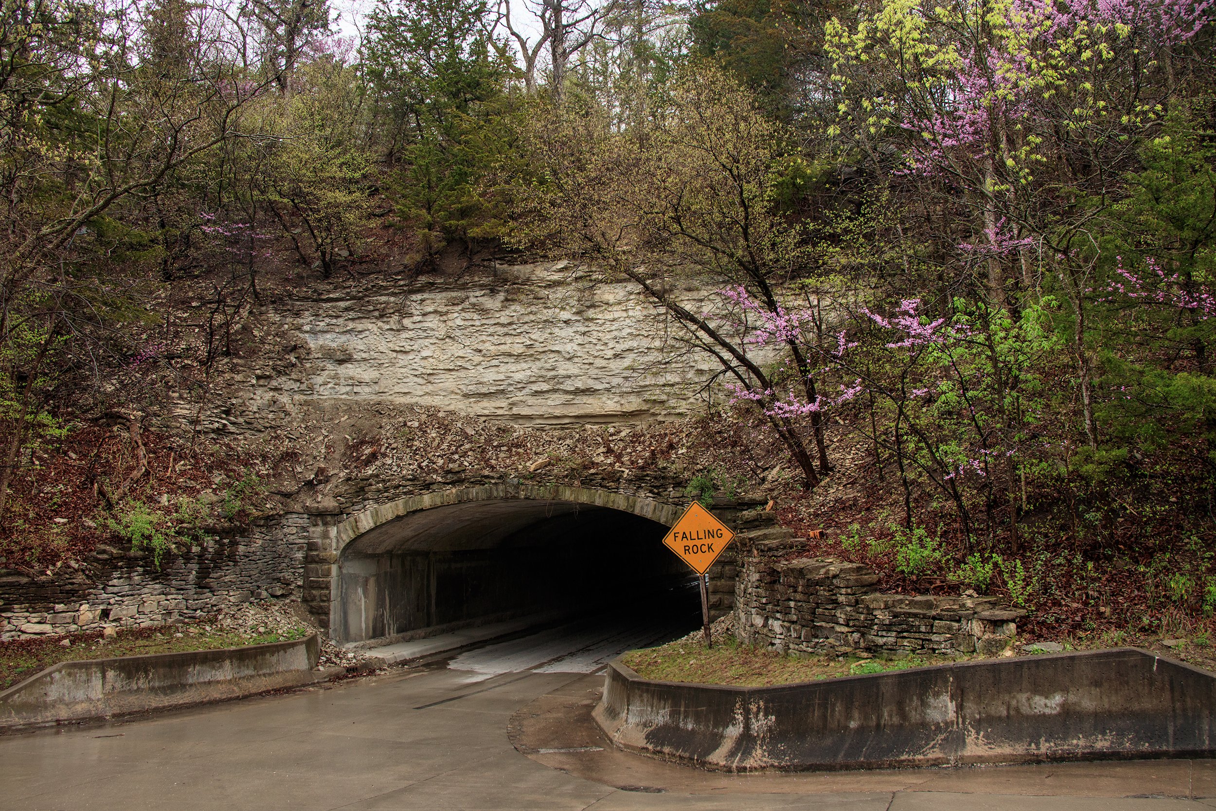 _MG_2126.jpg