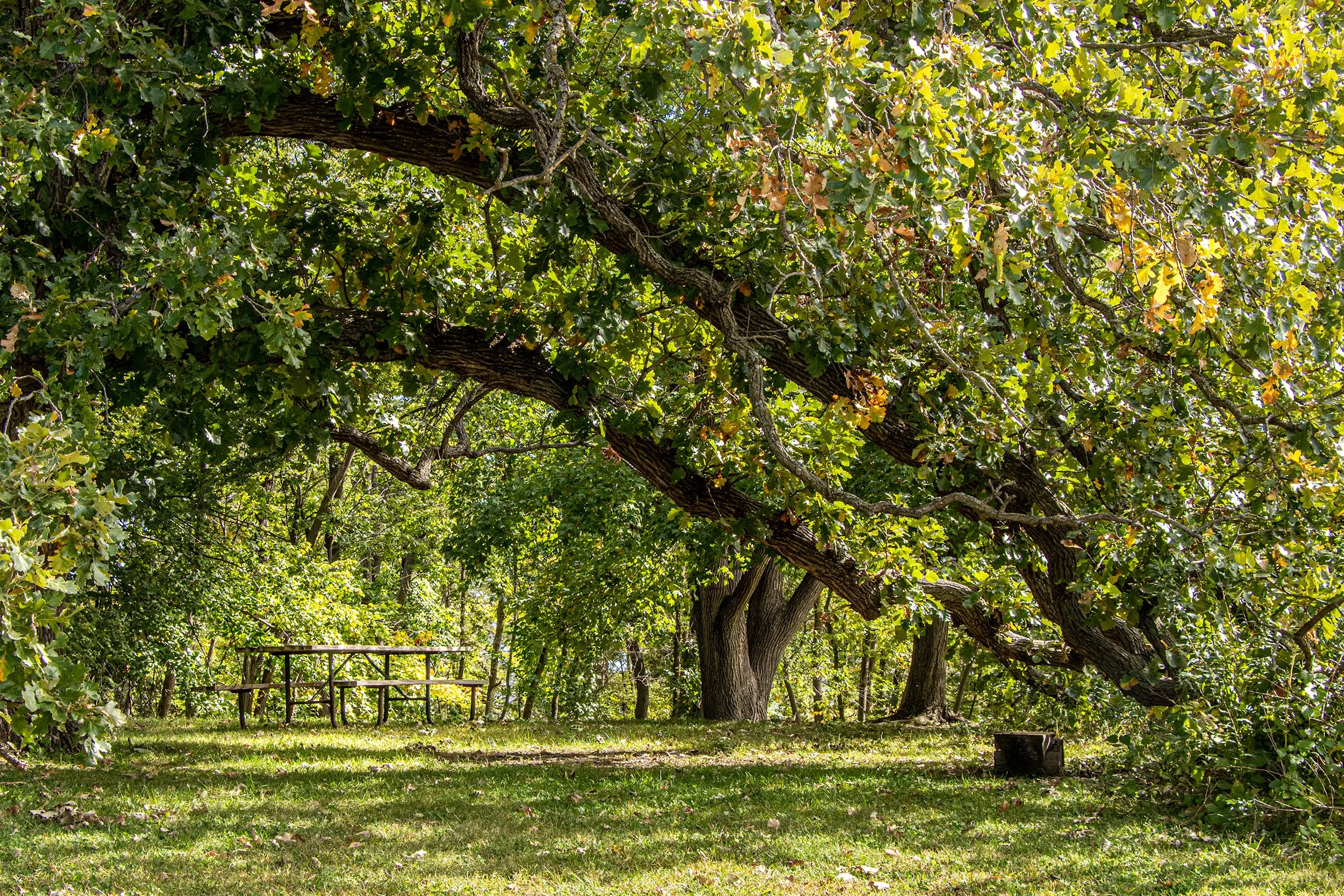 McFarland Park - Story County