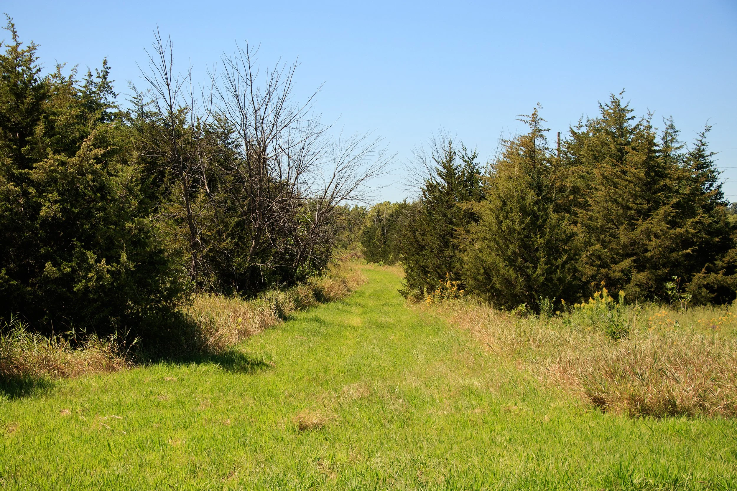 _MG_7408.jpg