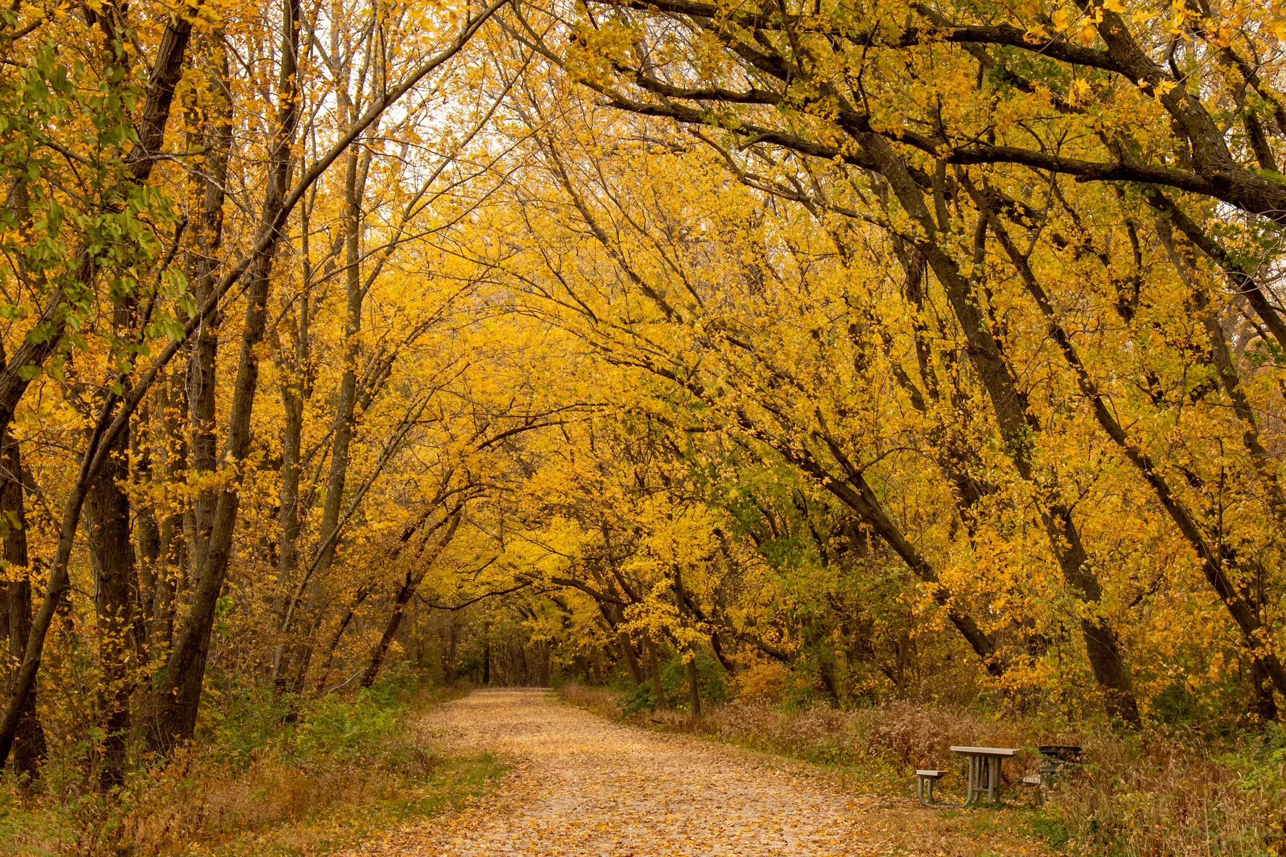 Raccoon River Park - Polk County