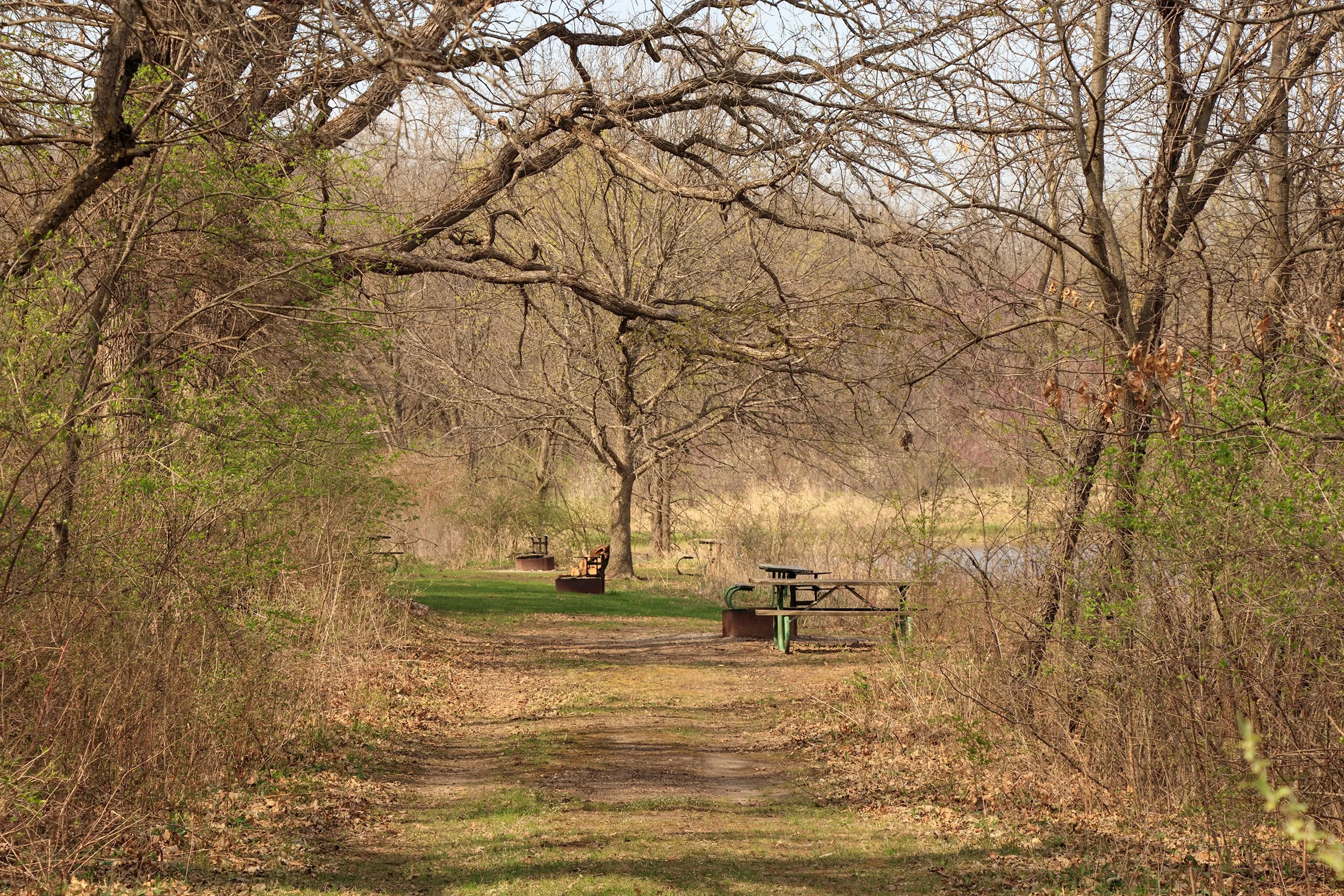 _MG_2757.jpg