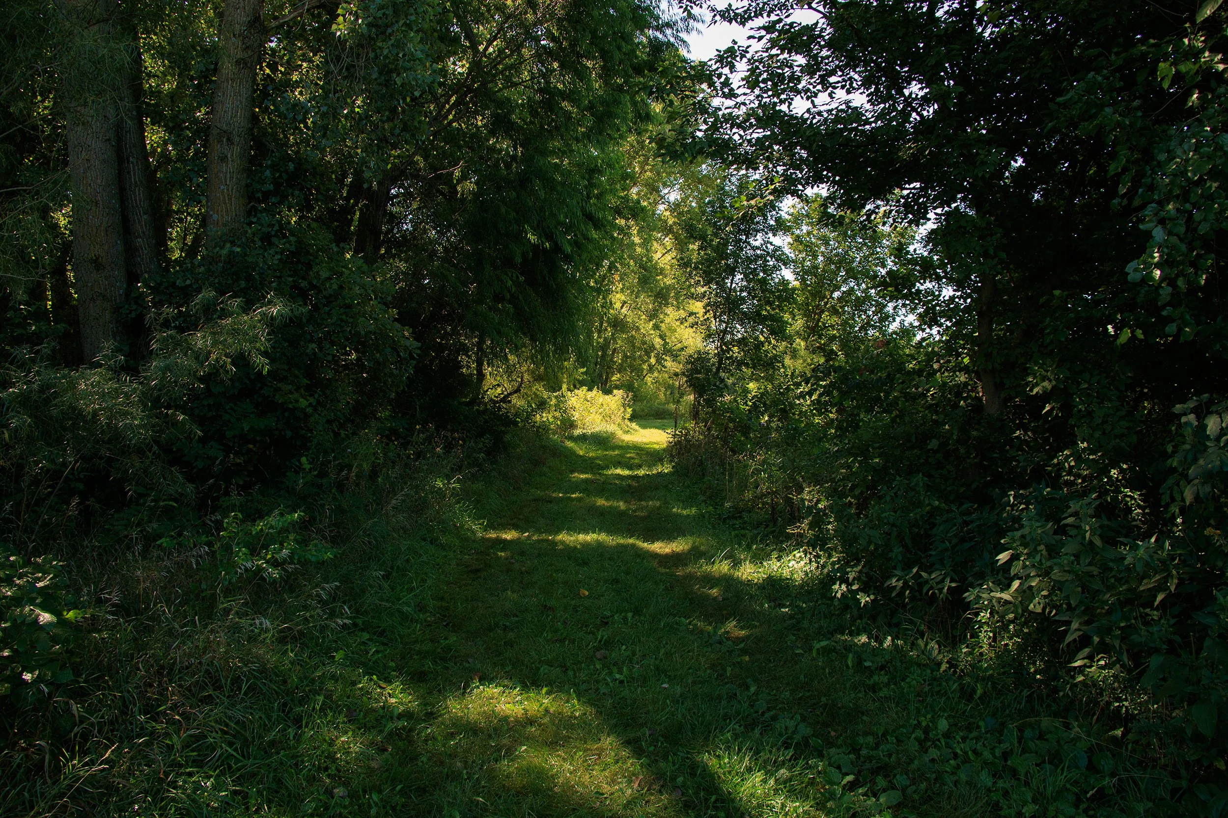 _MG_7554.jpg