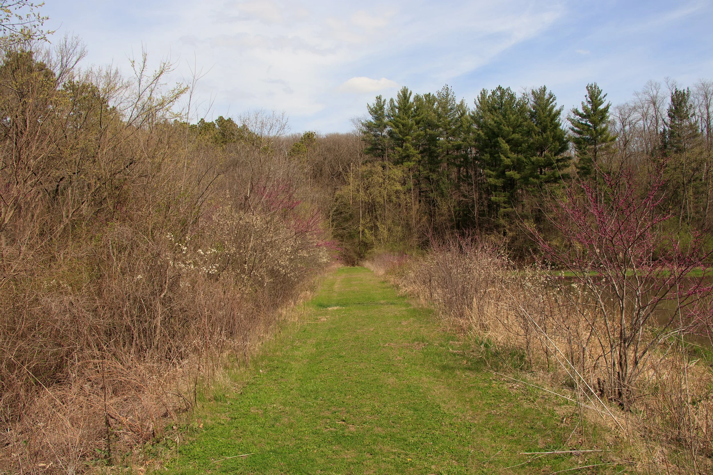_MG_2728.jpg