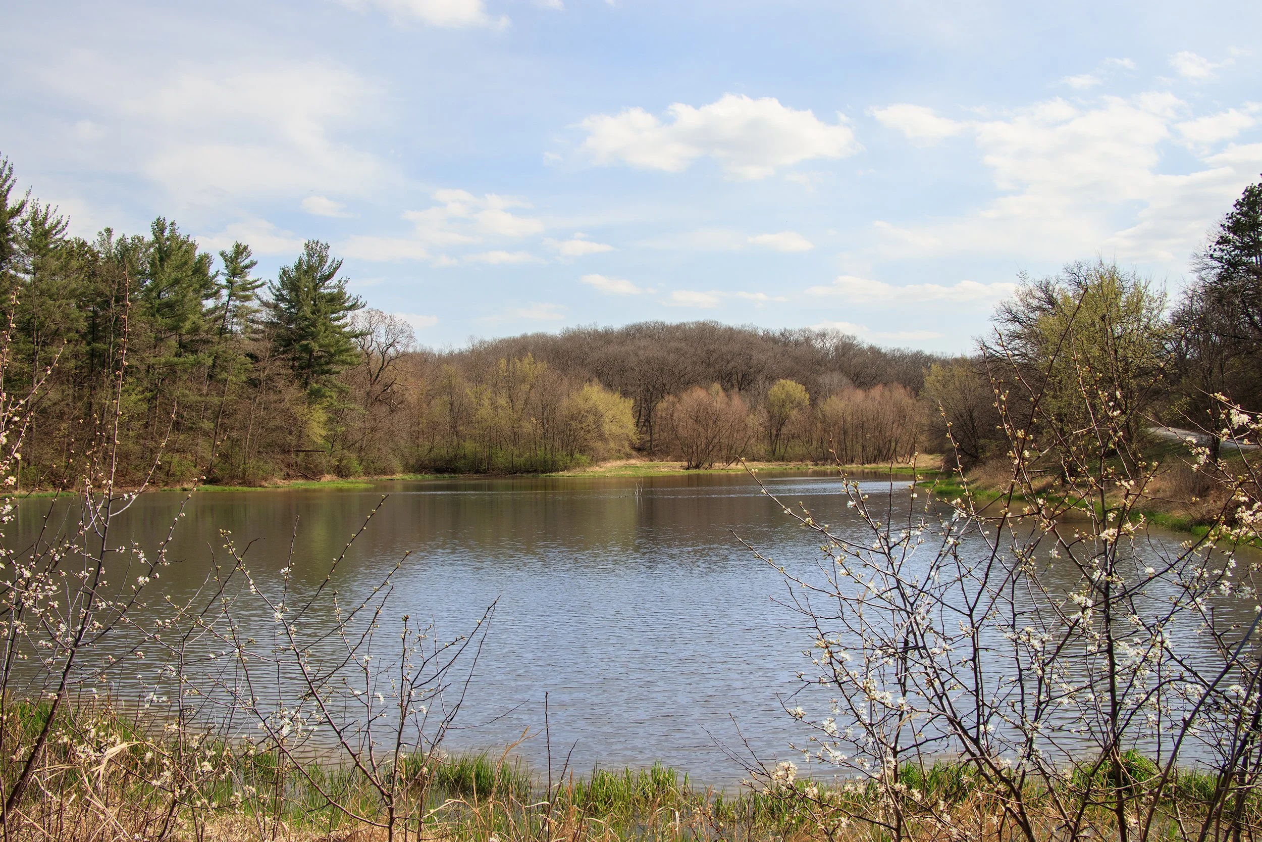 _MG_2800.jpg