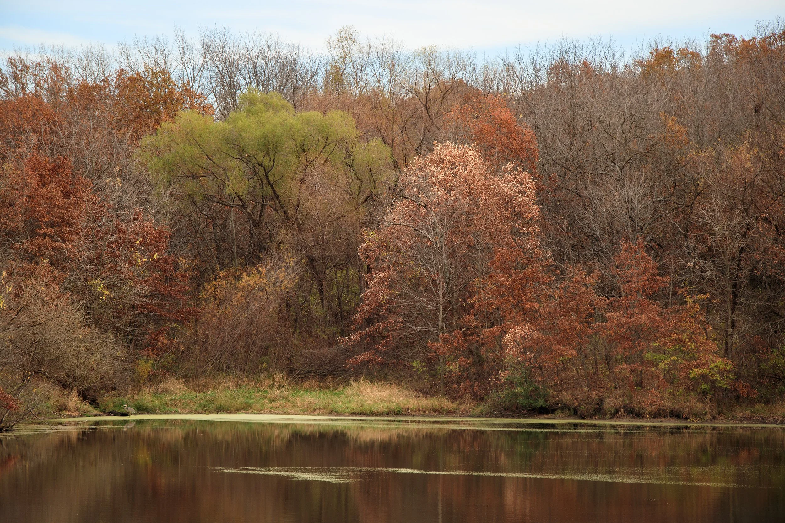 Little River Recreation Area - Decatur County