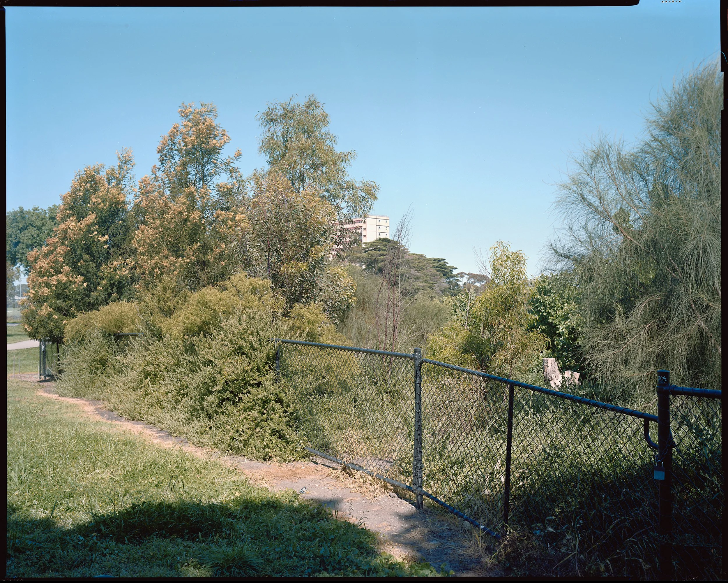 Paul Marsland_140x112cm (2).jpg