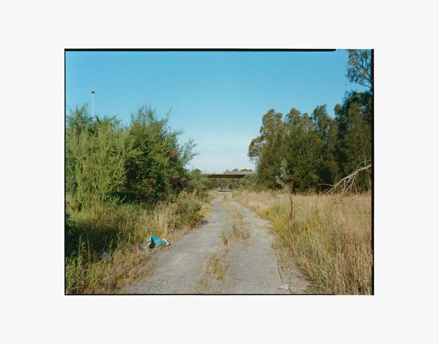 Track Under Walkway  2023 chromogenic print  
8 x 10 in. contact print  
Exhibitions 
2024 'Hand Made', Melbourne Camera Club, Melbourne