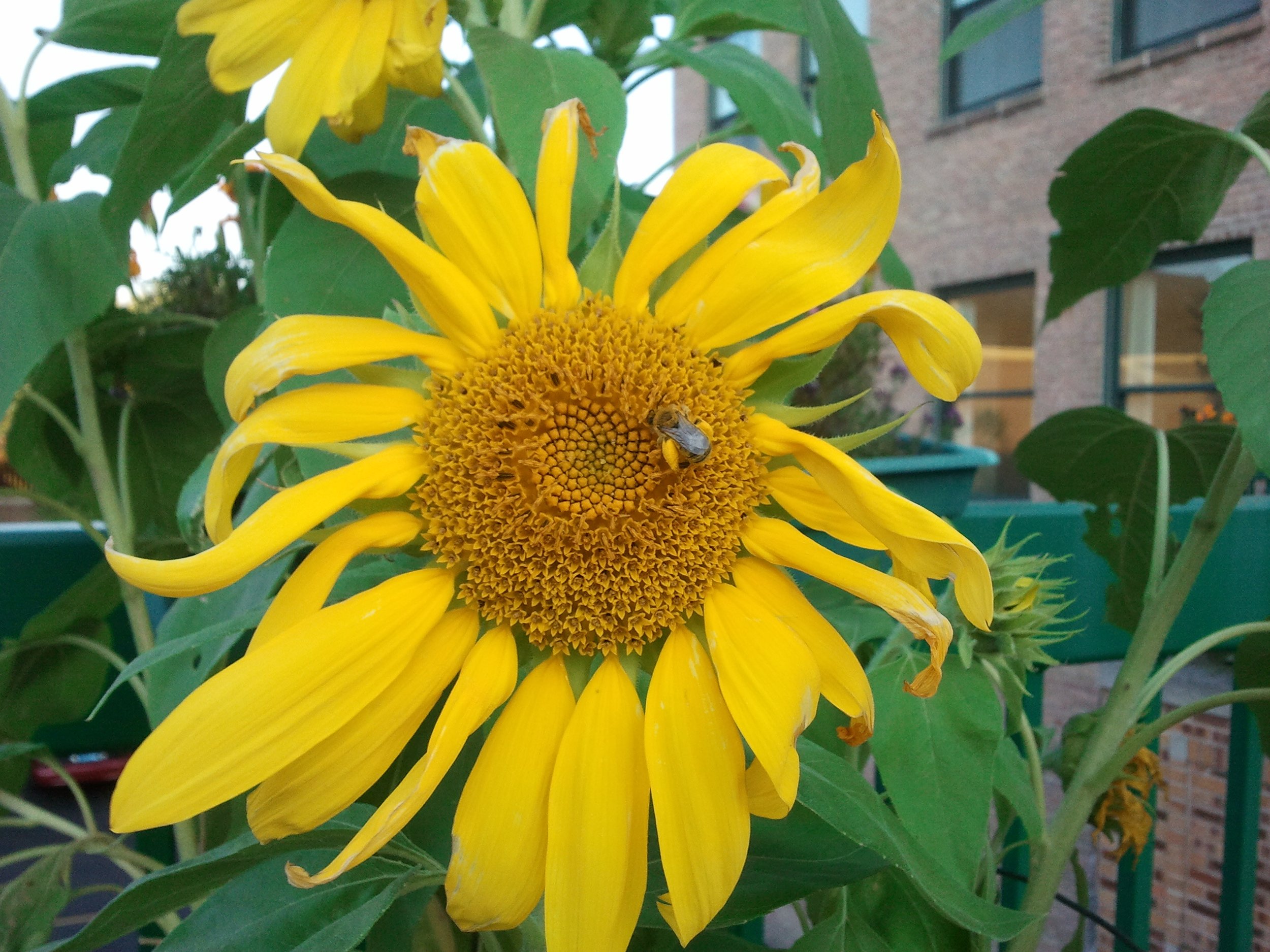 2011-09-11 18.26.10.jpeg