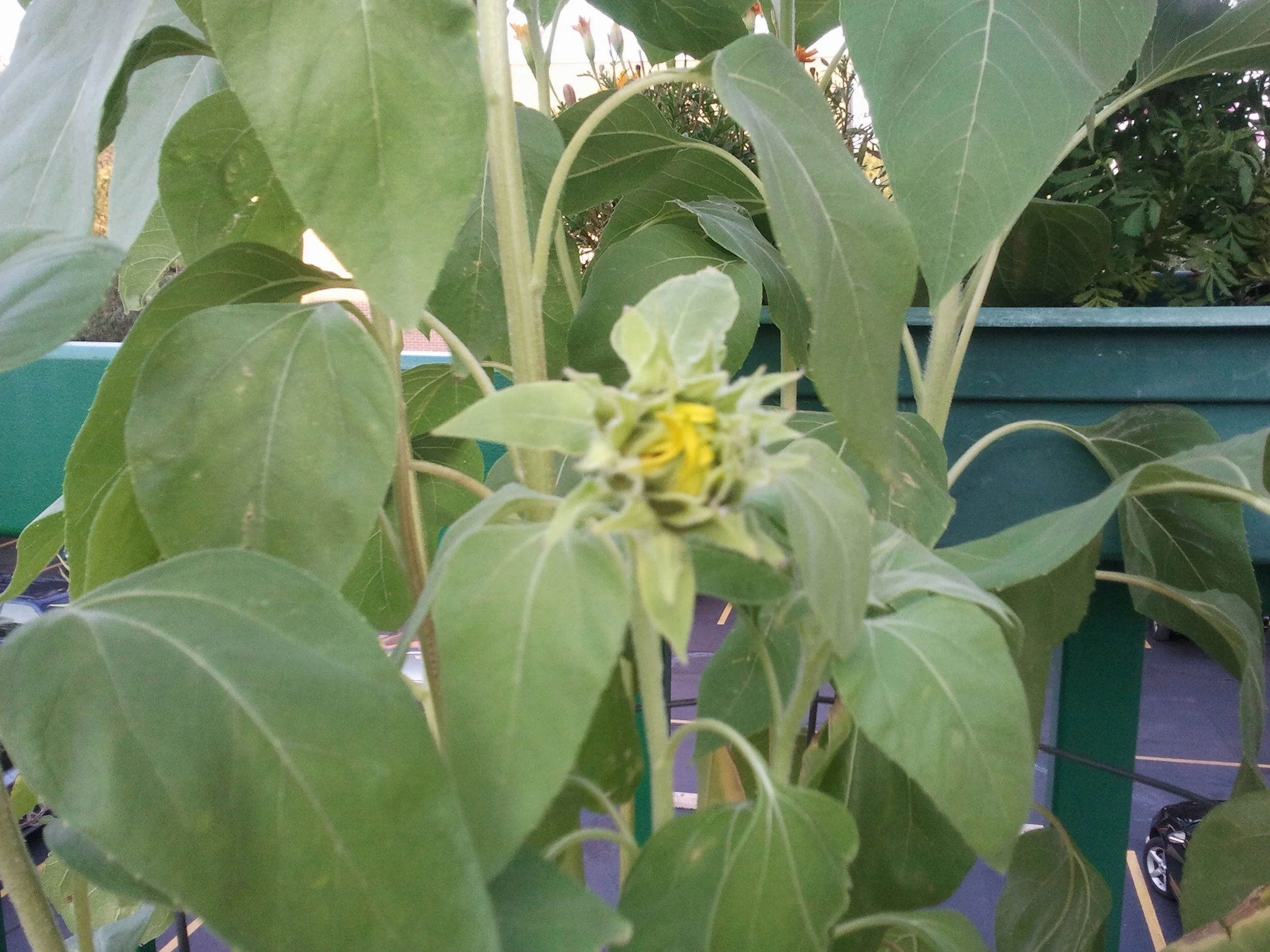 2011-09-11 18.27.54.jpeg